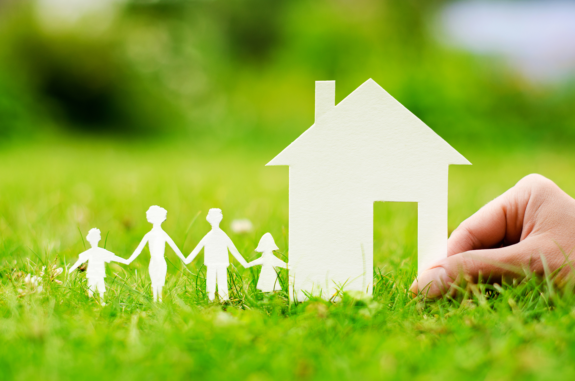 Проект big family