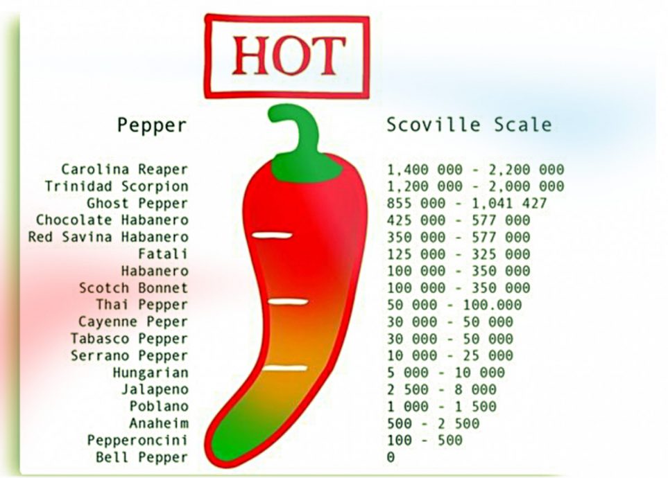 The Scoville Scale is a measurement chart used to rate the heat of peppers ...